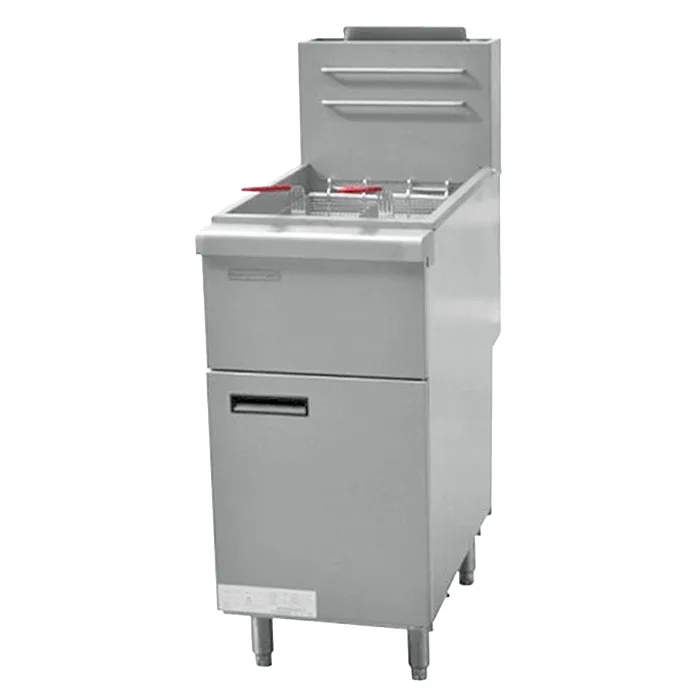 Gas Deep Fryer Standing