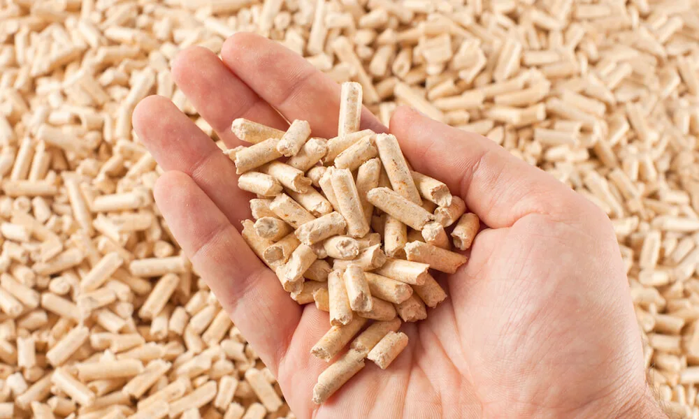 Fish Pellet