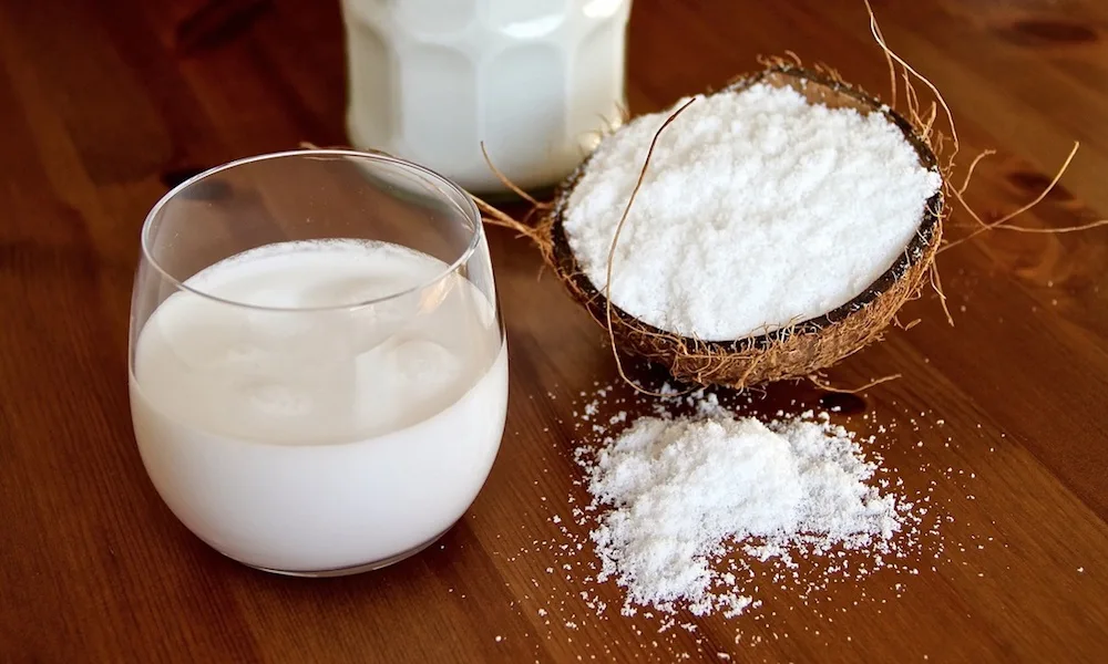 Santan Kelapa
