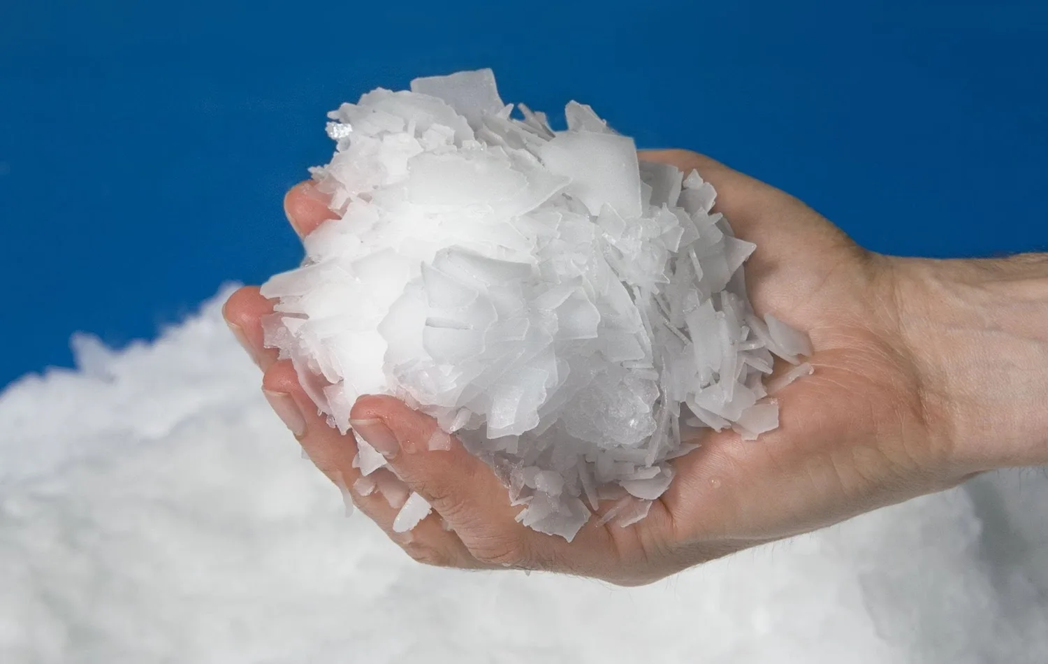 Ice Flakes Fish