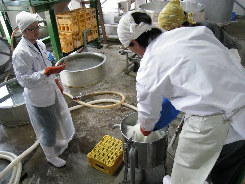 Proses Cuci Beras