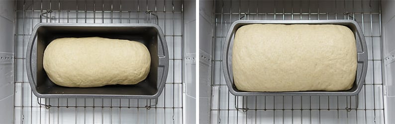 Dough In Proofer
