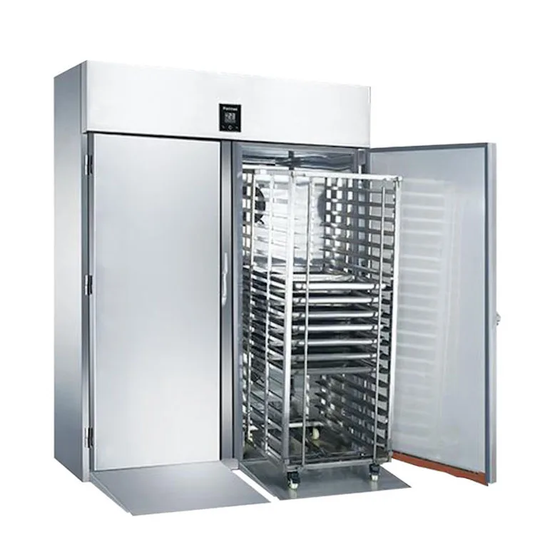 Roll-In Upright Chiller Freezer GEA