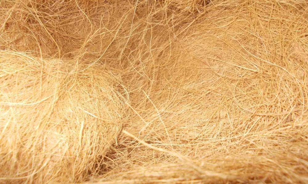 Sabut Kelapa Coconut Fiber