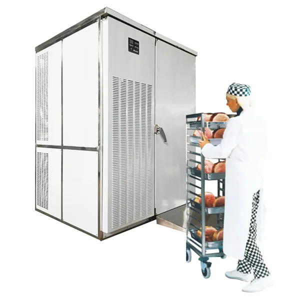 Blast Freezer GEA T-40D