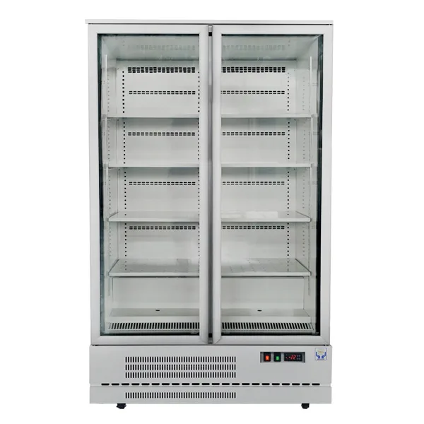 Upright Glass Door Freezer GEA BF120CP-76